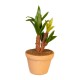 Dolls House Tropical Plant in Terracotta Pot Scandi Natural Miniature Ornament