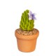 Dolls House Cactus in Terracotta Pot Purple Flowering Plant Miniature Accessory